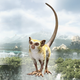 Image for article titled The Critters of Final Fantasy XIV